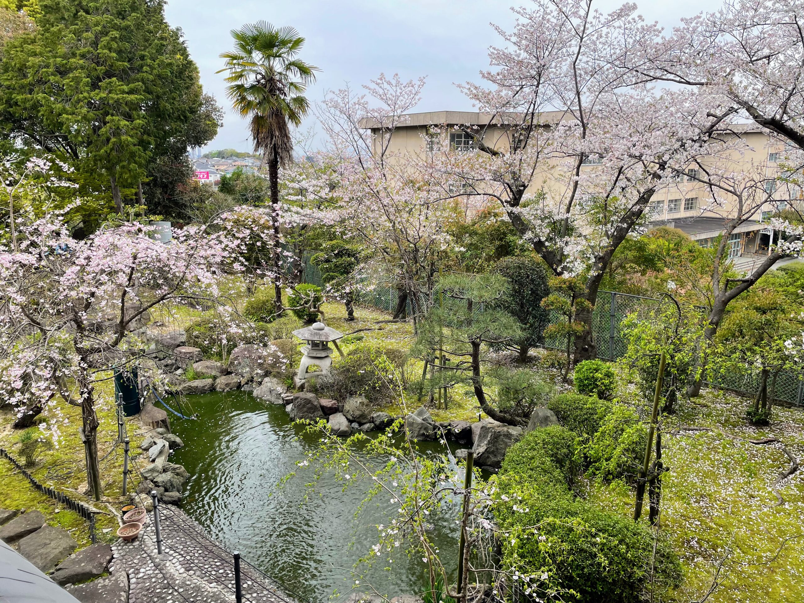 けやき令和8年5月発行3月・4月号